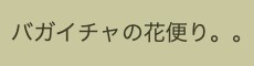 バガイチャの花便り。。